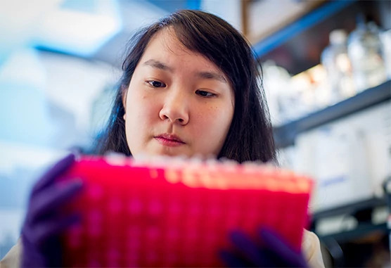 gelb-center-researcher556x381.jpg